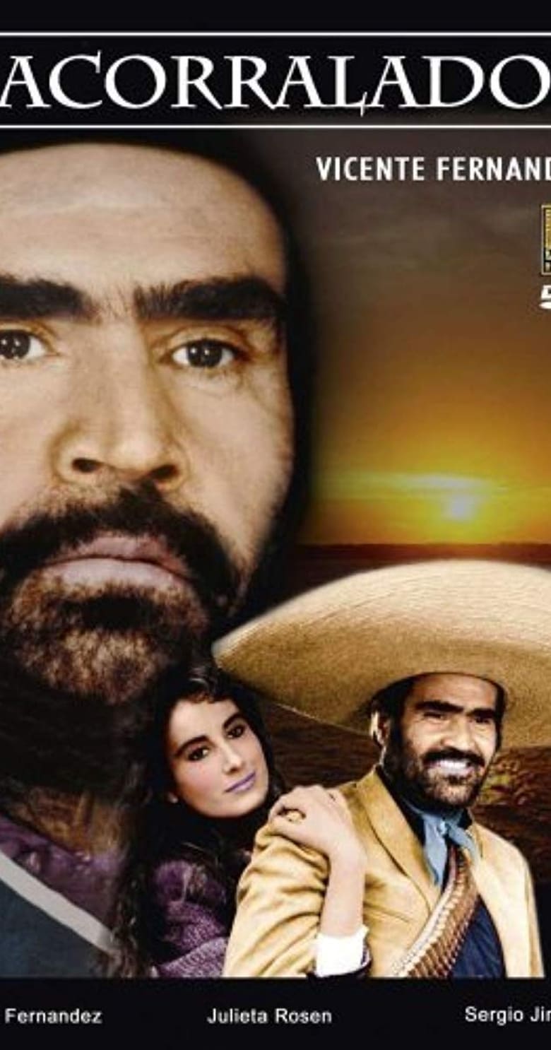 Poster of Acorralado