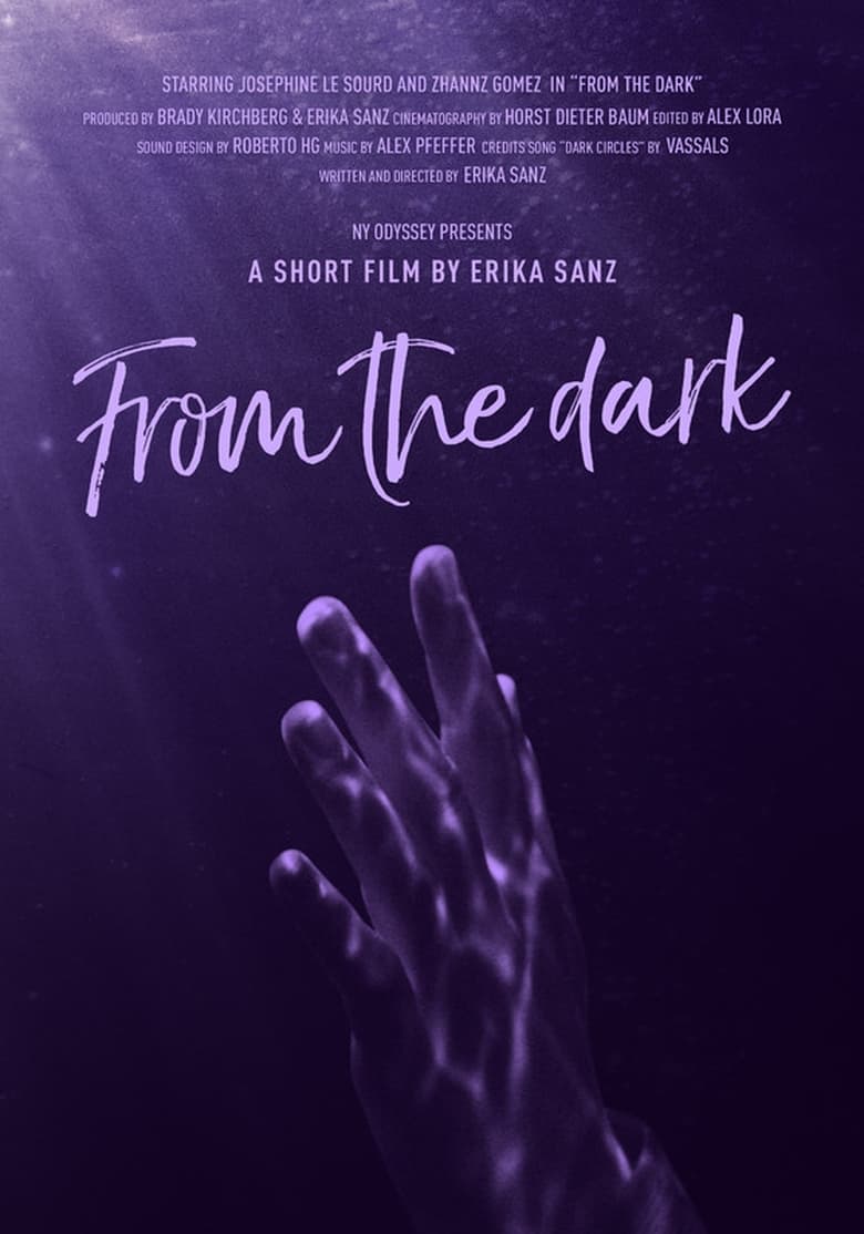 Poster of From the Dark