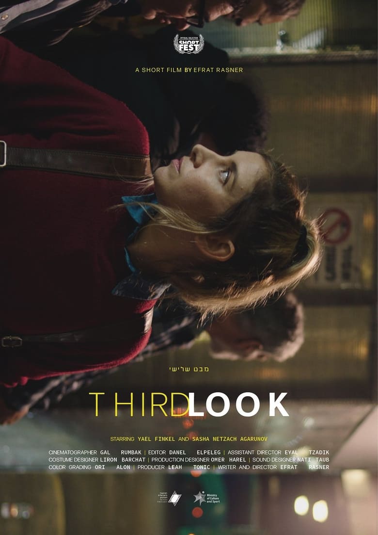 Poster of Third Look