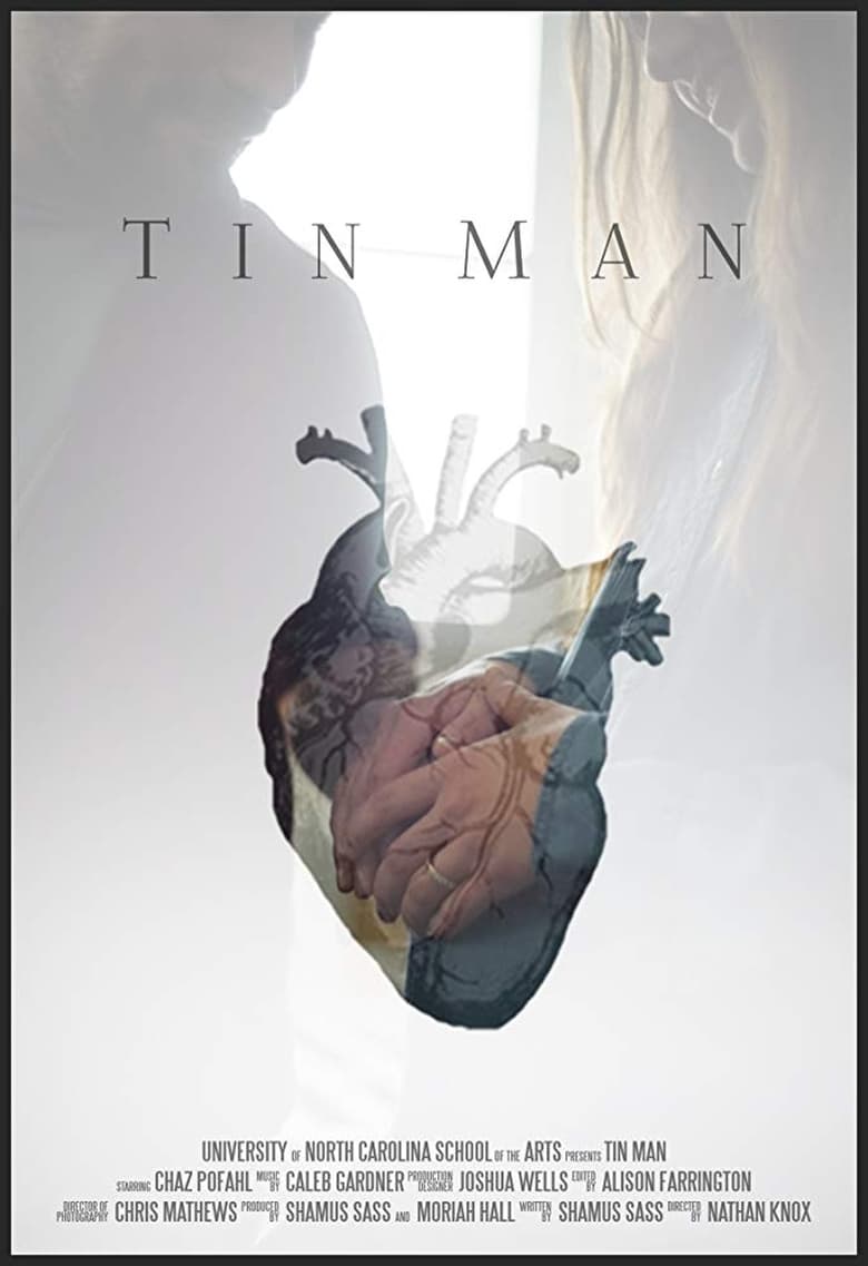 Poster of Tin Man