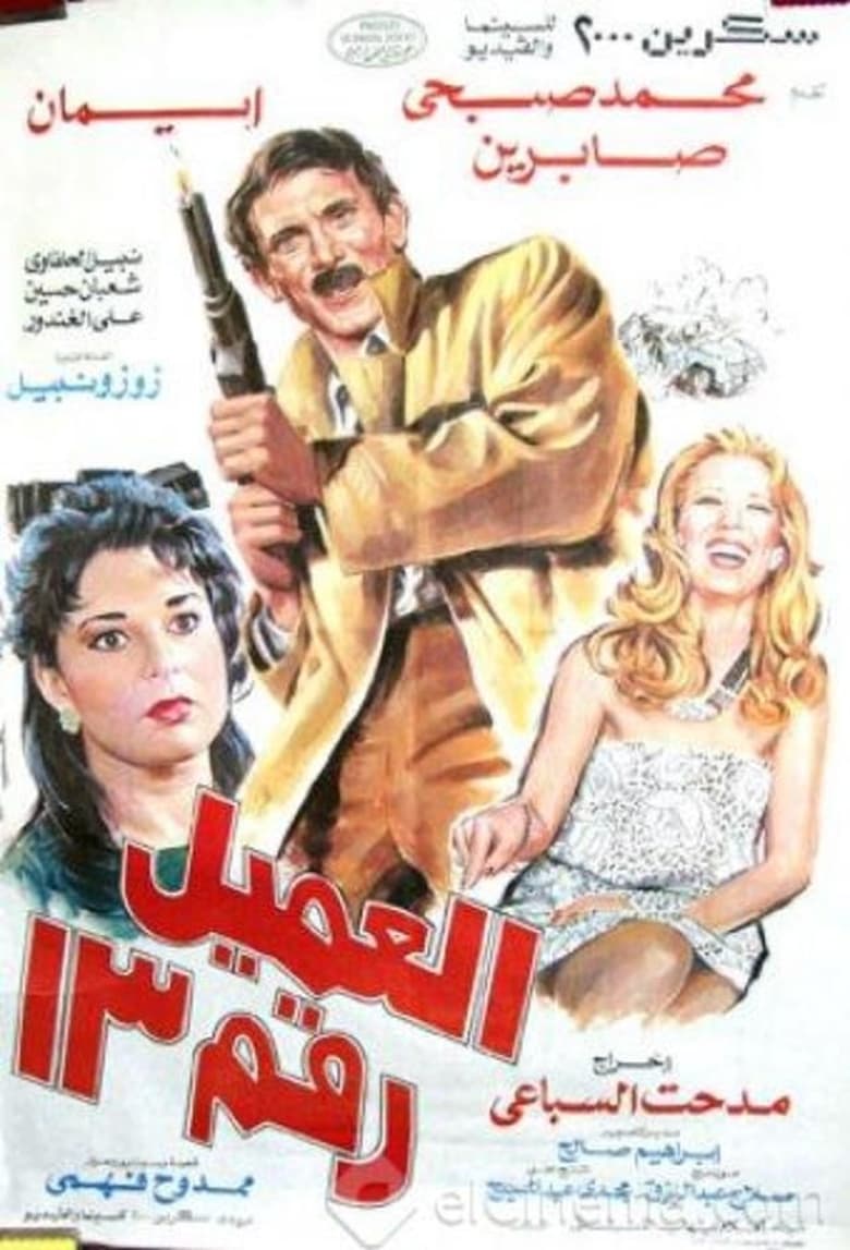 Poster of Agent number 13