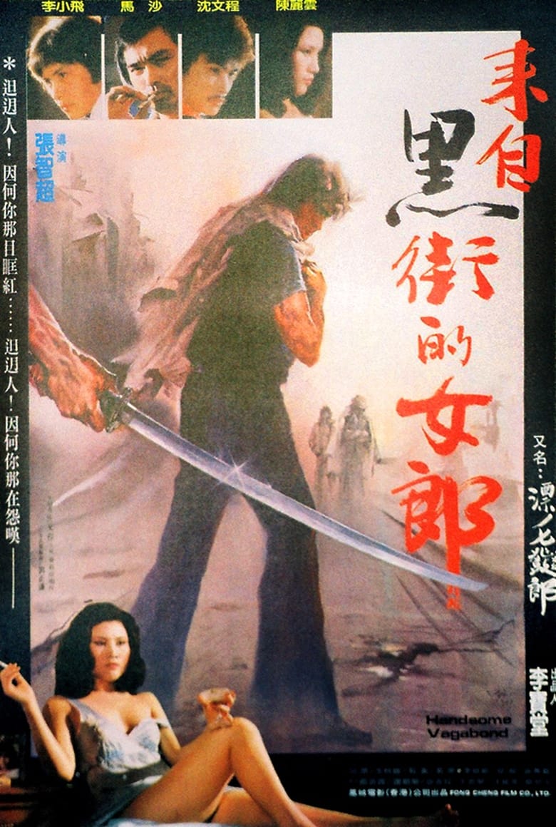 Poster of Handsome Vagabond