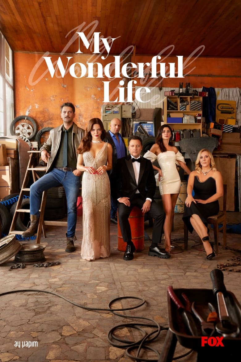 Poster of My Wonderful Life