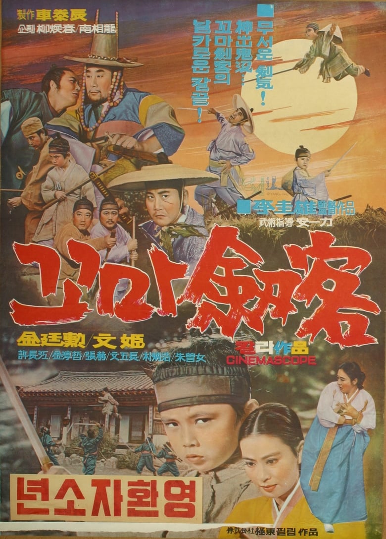 Poster of The Little Boy Swordsman