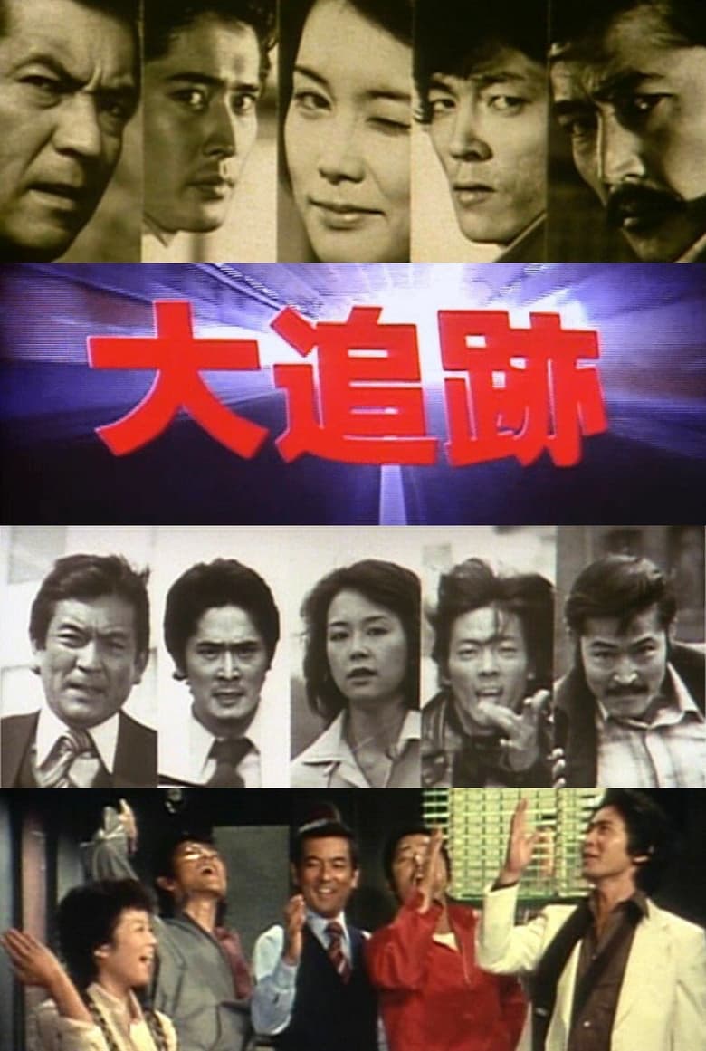 Poster of 大追跡