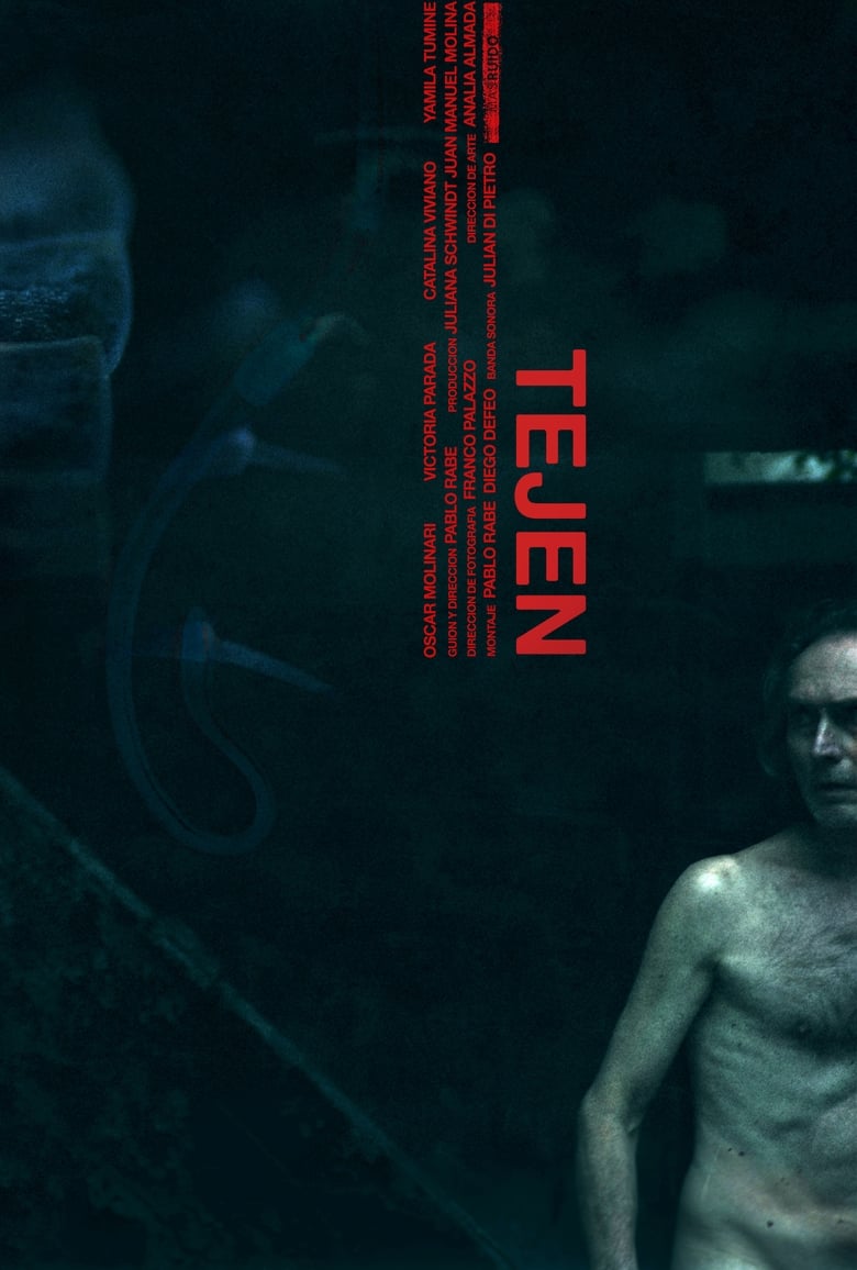 Poster of Tejen