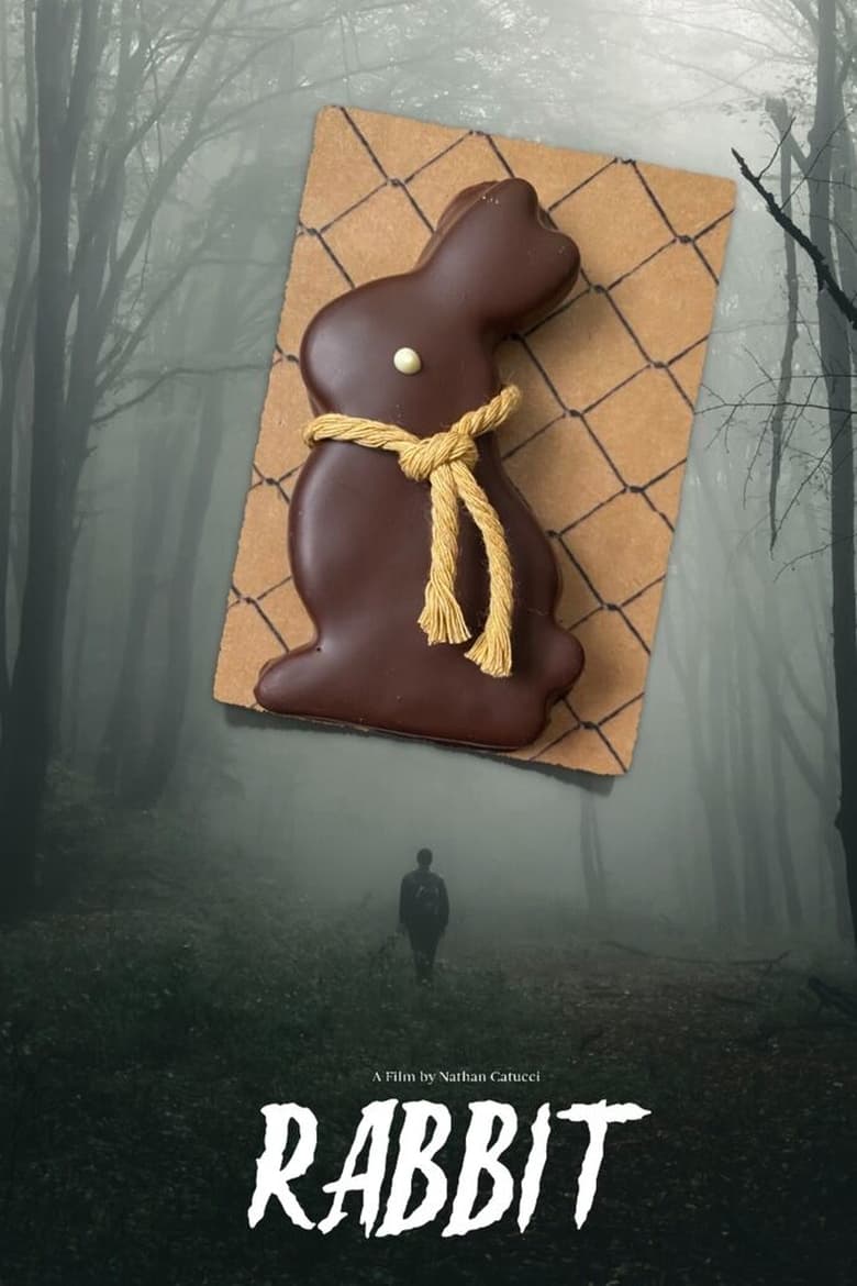 Poster of Rabbit