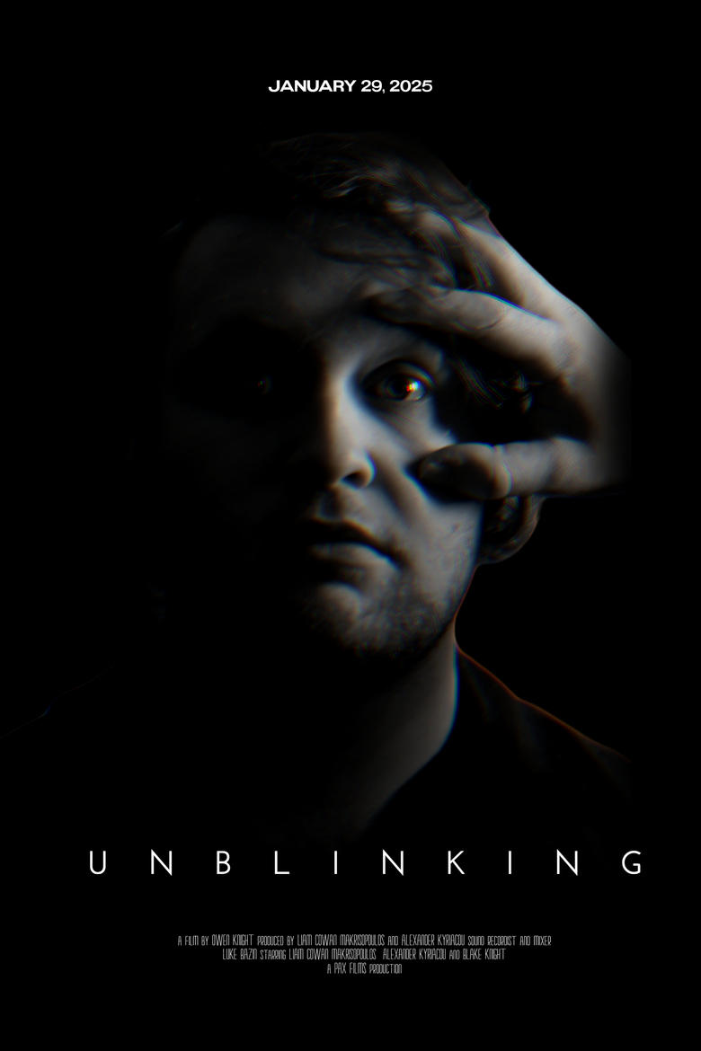 Poster of Unblinking