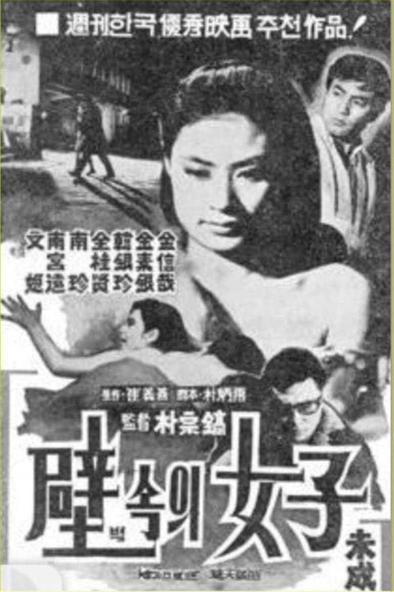 Poster of A Woman in the Wall