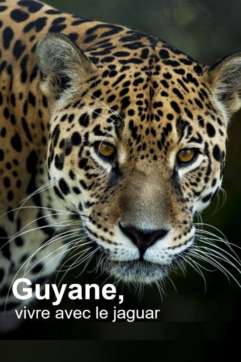 Poster of Guyane, vivre avec le jaguar