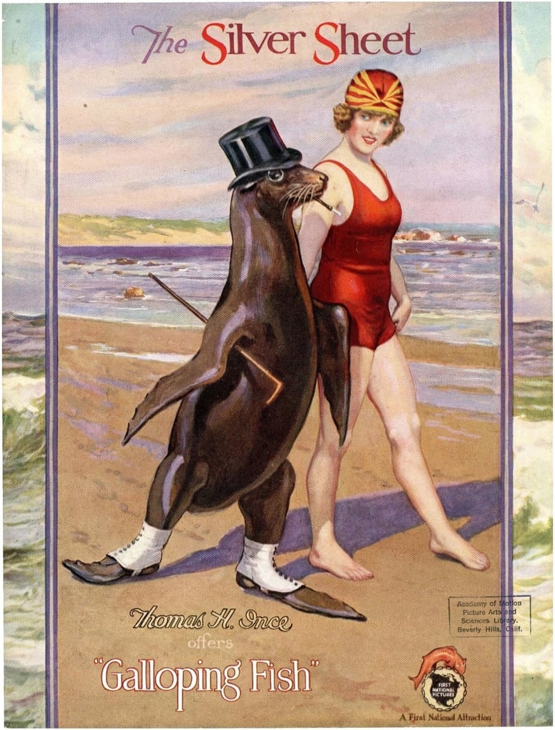 Poster of The Galloping Fish