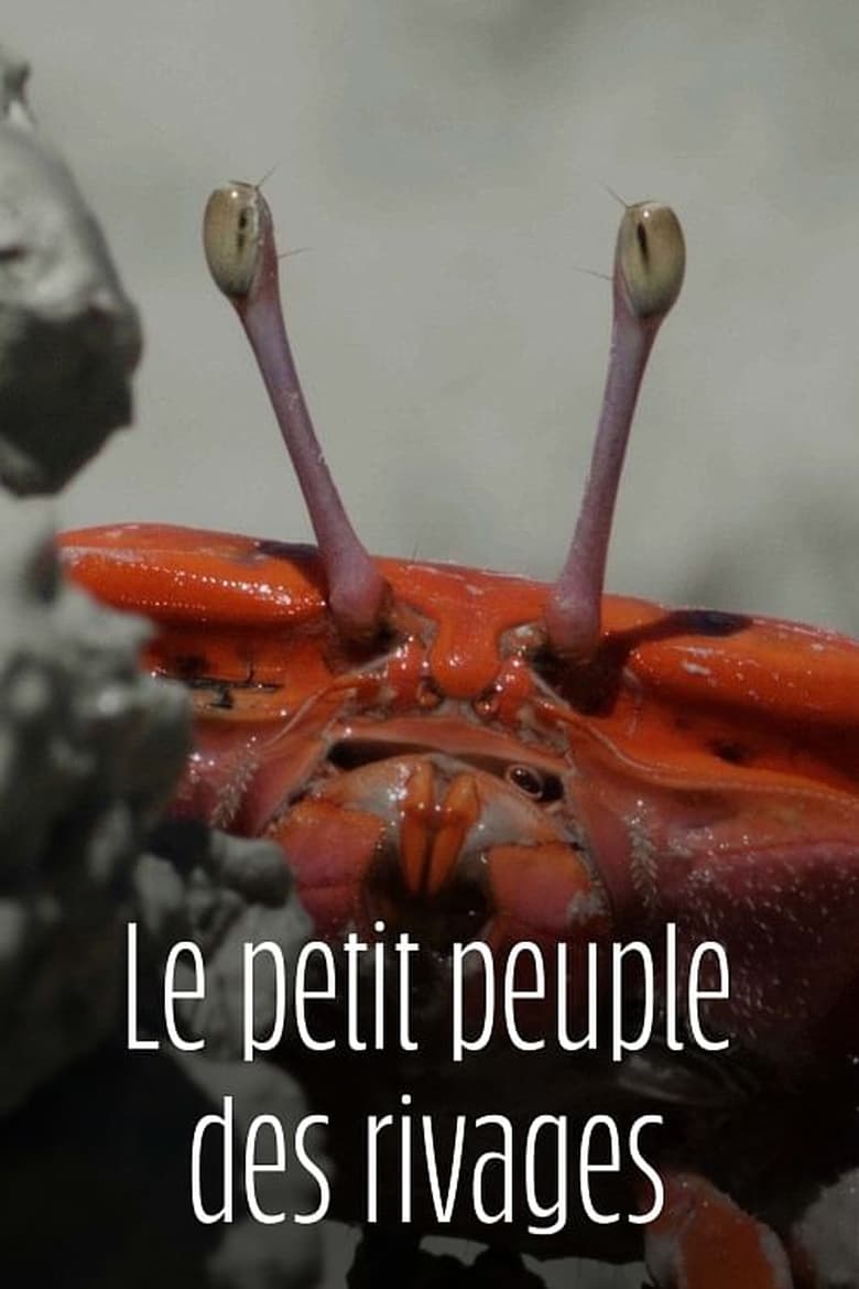 Poster of Le Petit Peuple Des Rivages - Season 1 - Episode 2 - Episode 2