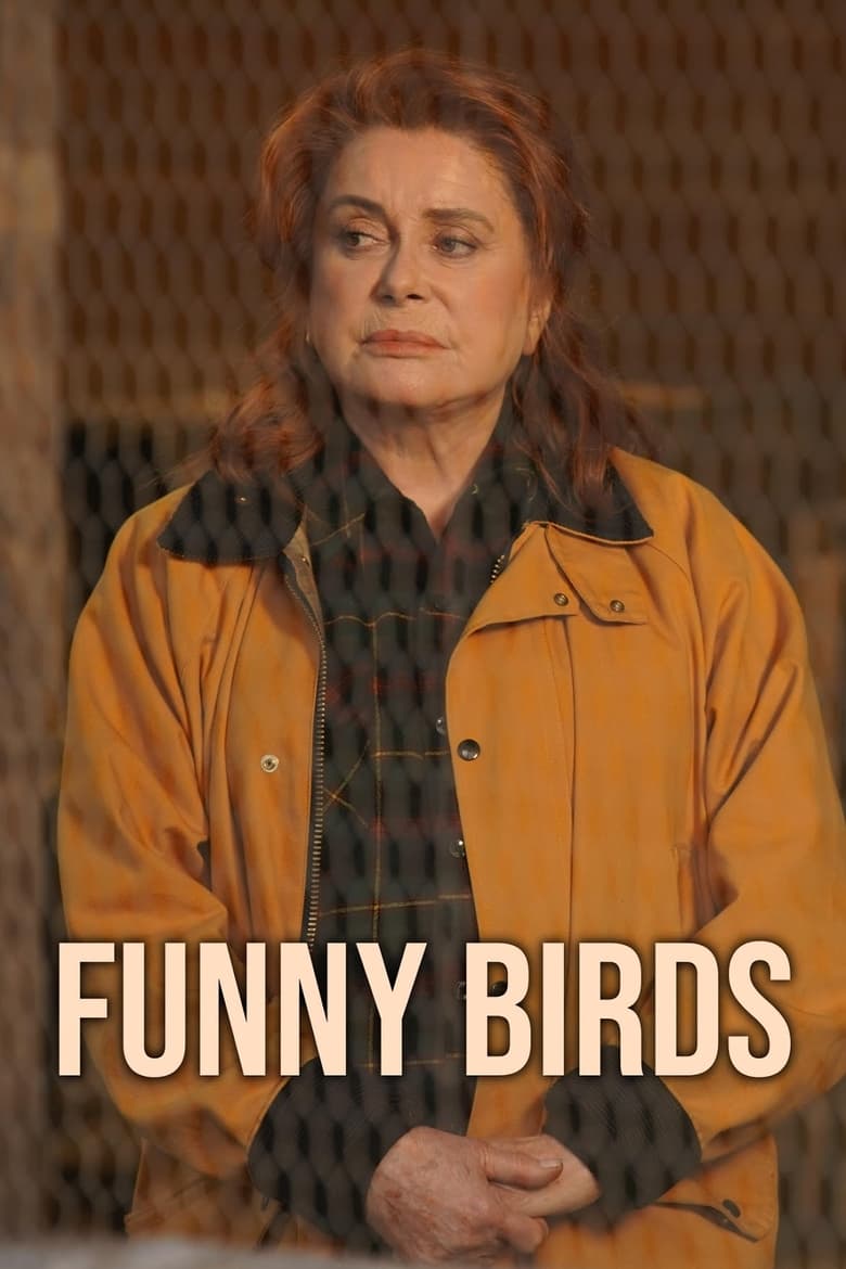 Poster of Funny Birds