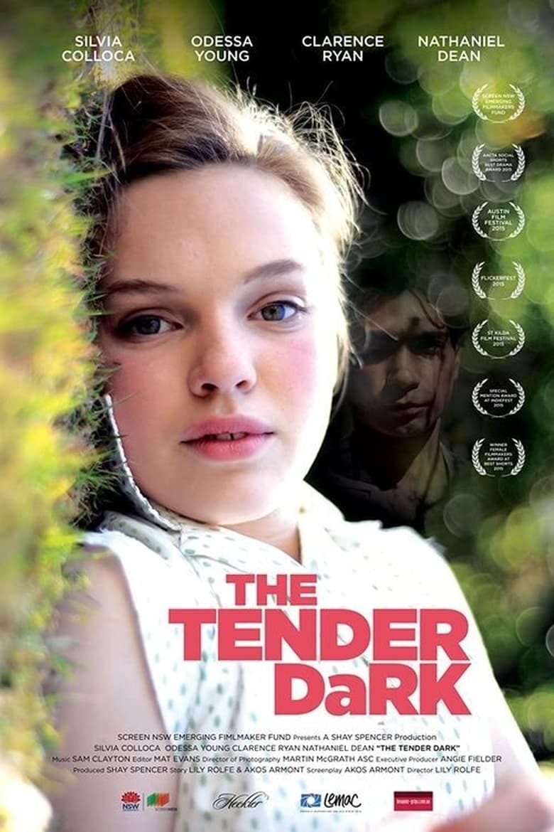 Poster of The Tender Dark