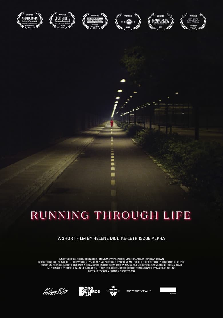 Poster of Running Through Life