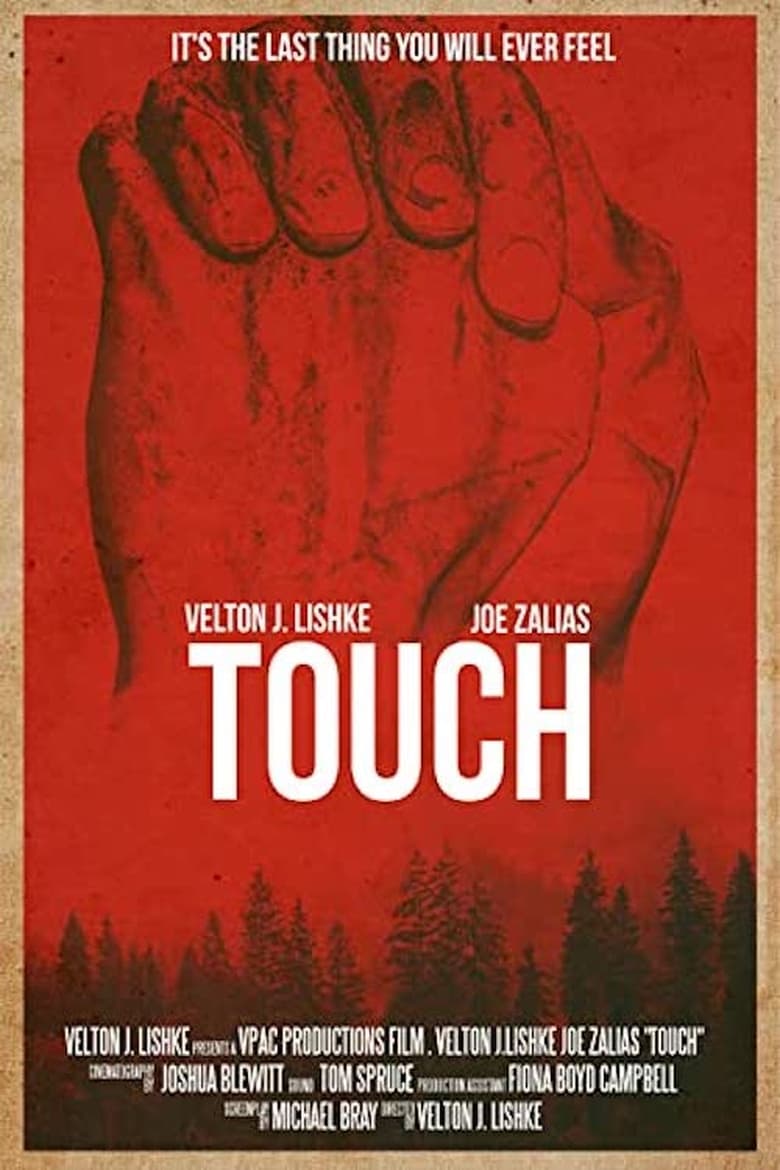 Poster of Touch