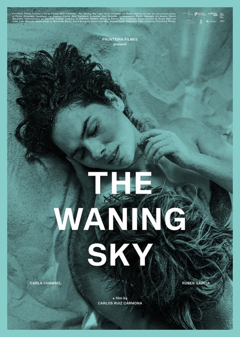 Poster of The Waning Sky