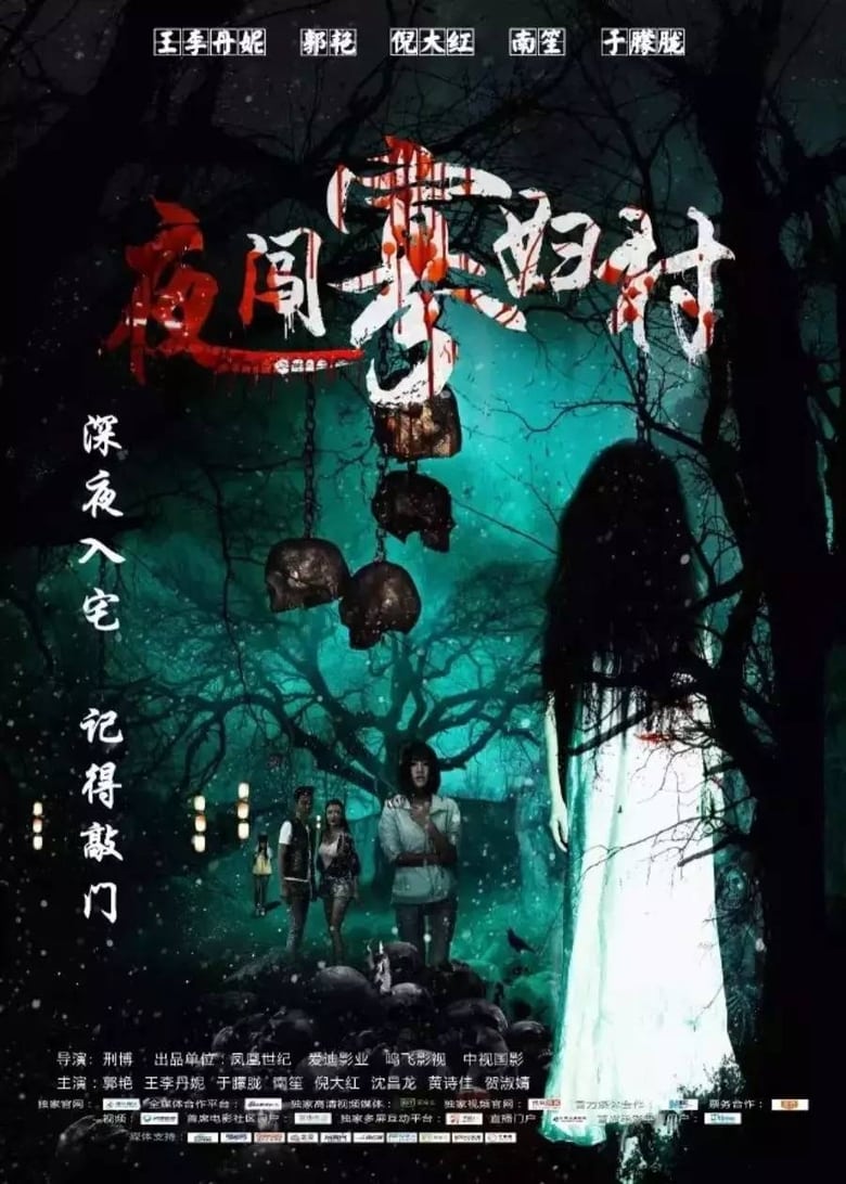 Poster of Visit the Widow Village in the Night