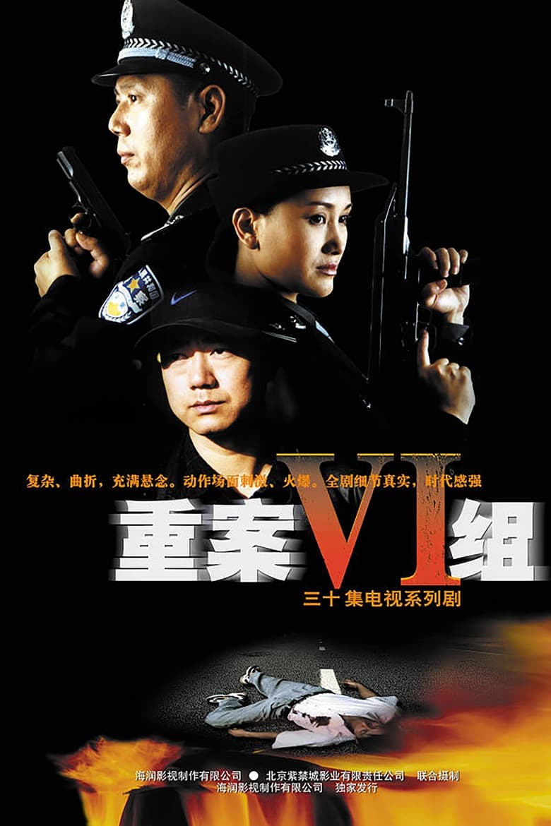 Poster of Ⅵ Group of Fatal Case