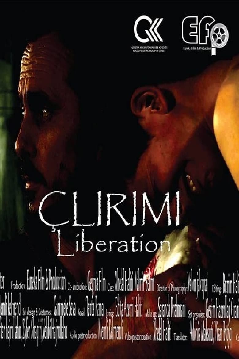 Poster of Liberation