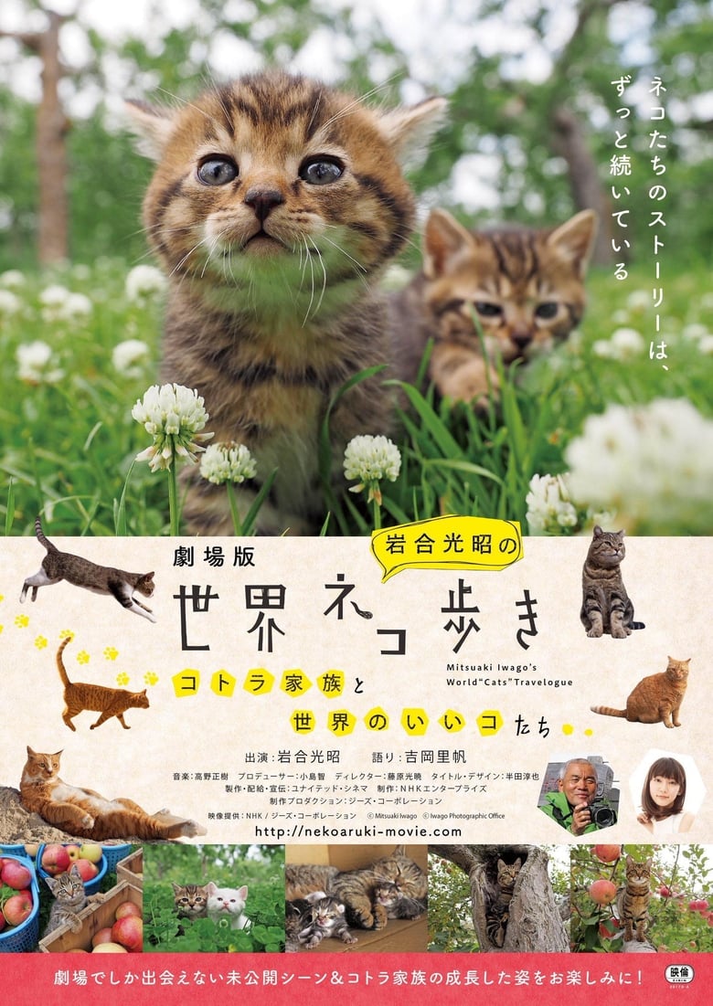 Poster of Mitsuaki Iwago's World “Cats” Travelogue