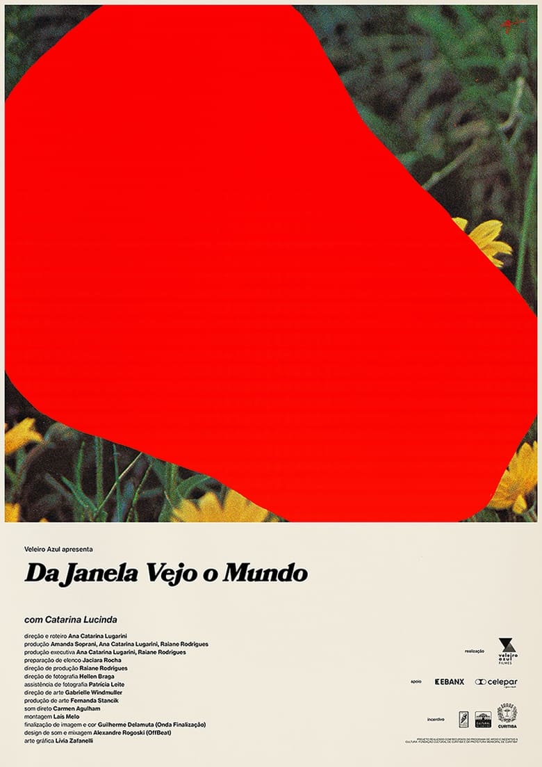 Poster of Da Janela Vejo o Mundo