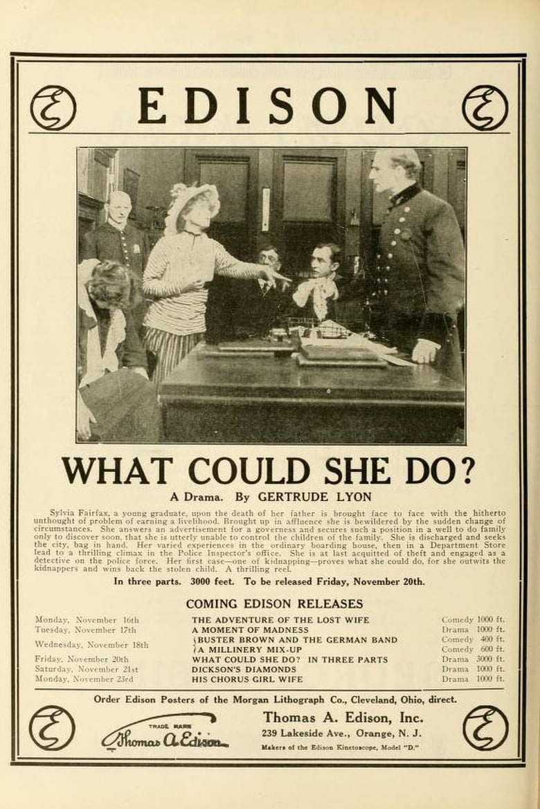 Poster of What Could She Do?