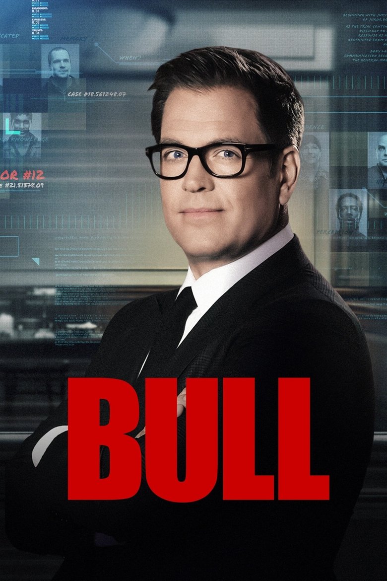 Poster of Bull