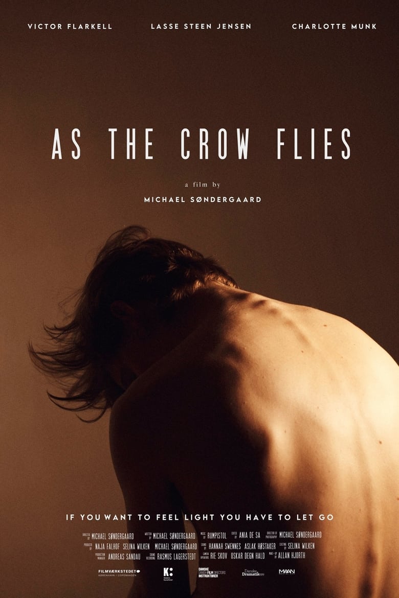 Poster of As the Crow Flies