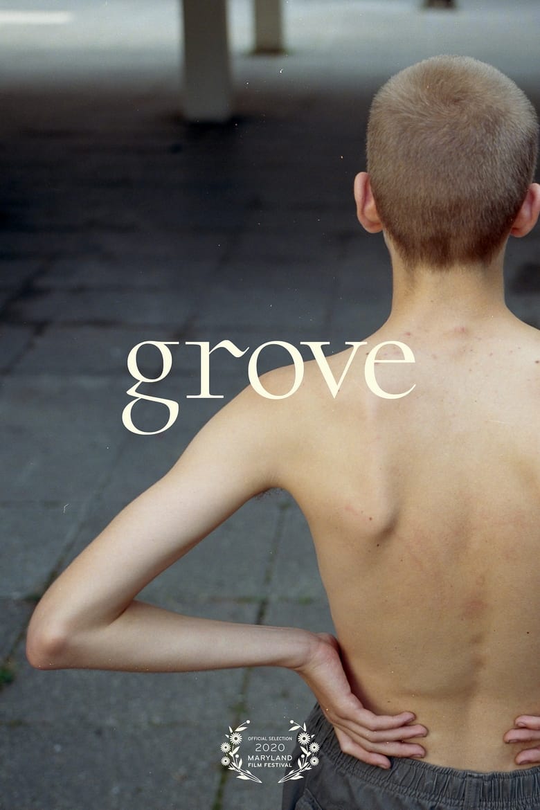 Poster of Grove