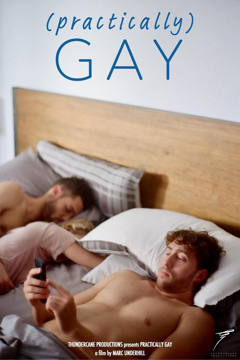 Poster of (Practically) Gay