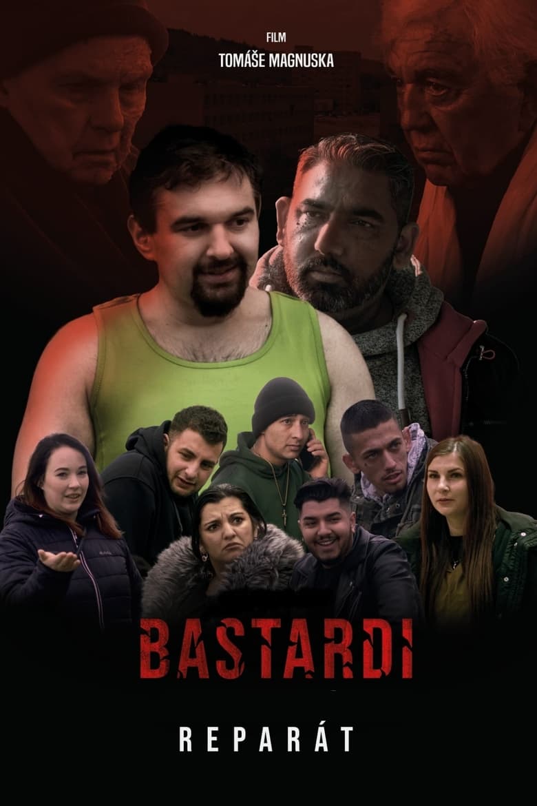 Poster of Bastardi: Reparát