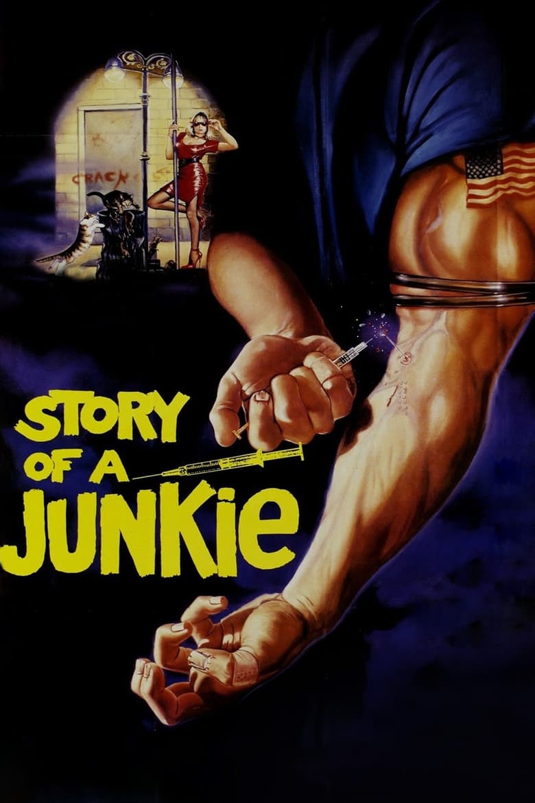 Poster of Story of a Junkie