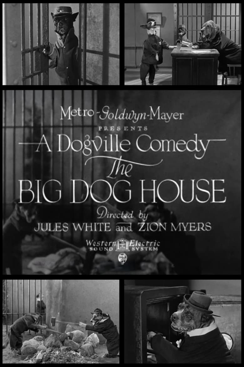 Poster of The Big Dog House