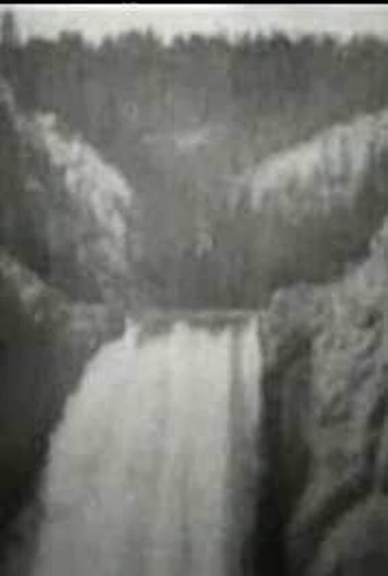 Poster of Lower Falls, Grand Canyon, Yellowstone Park