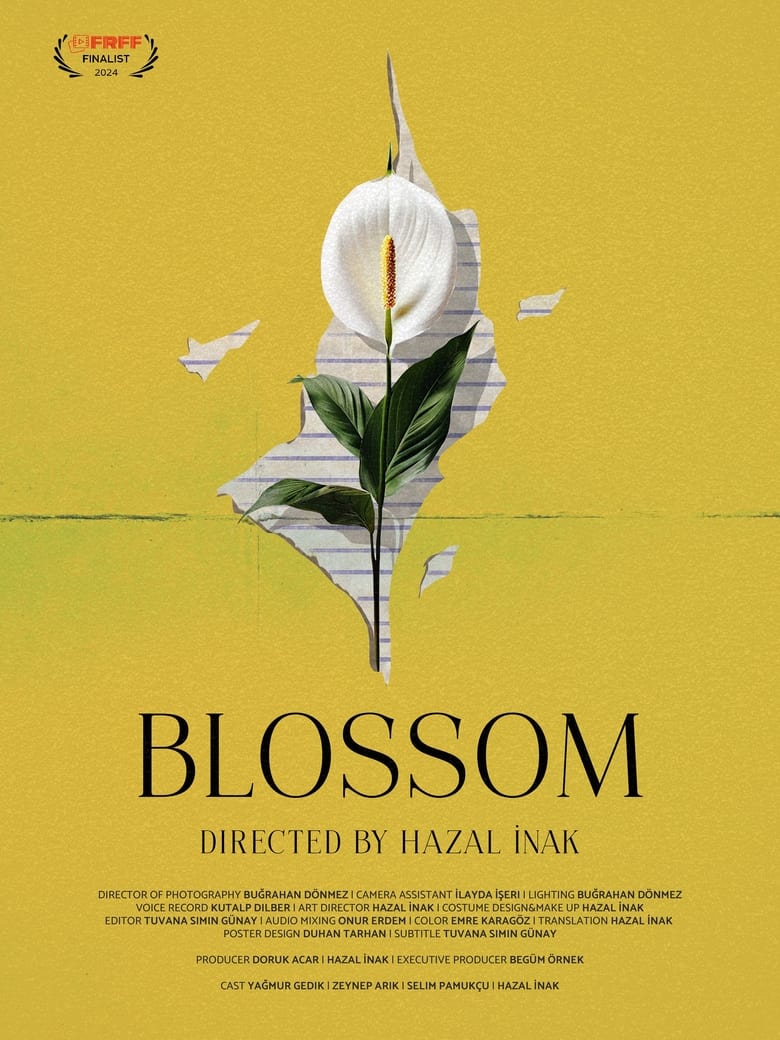 Poster of Blossom