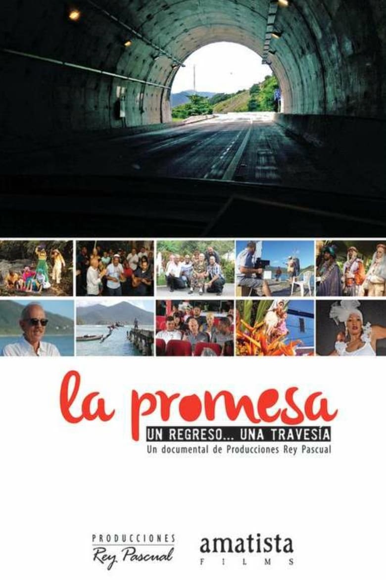 Poster of La promesa