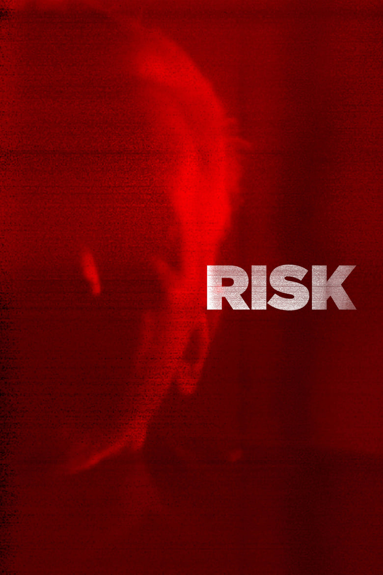 Poster of Risk