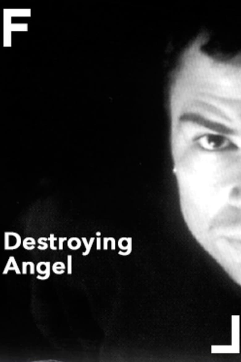 Poster of Destroying Angel