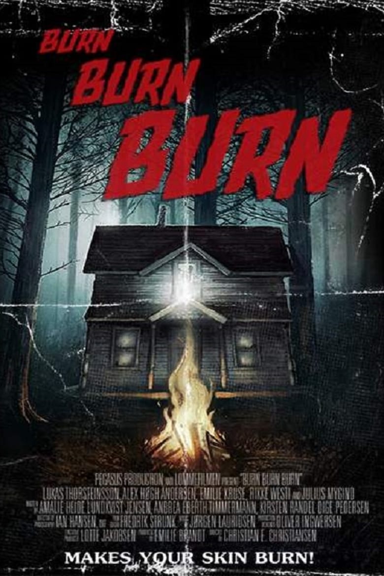 Poster of Burn Burn Burn