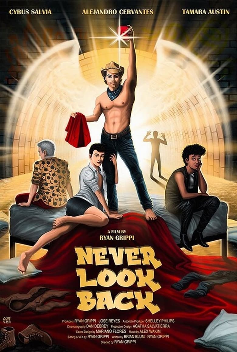 Poster of Never Look Back