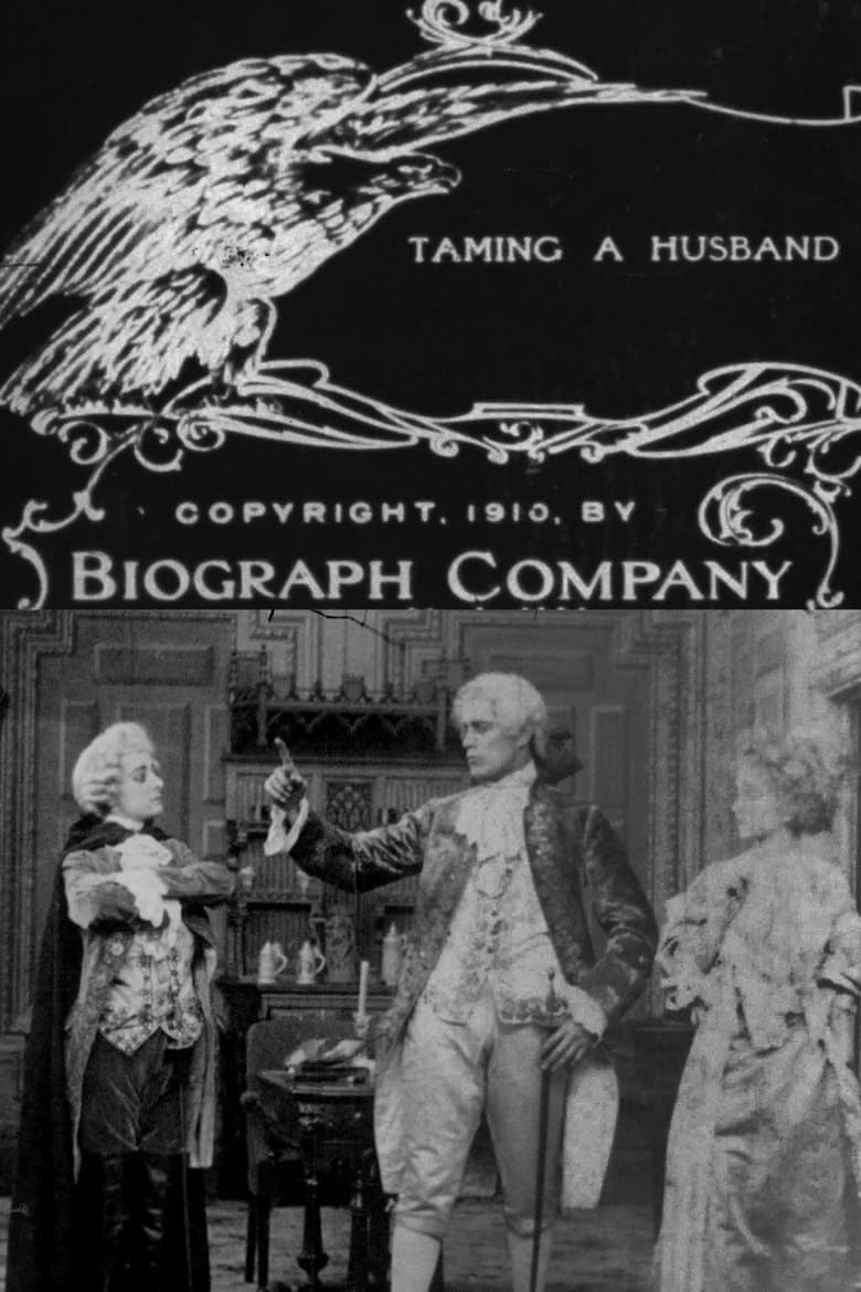 Poster of Taming a Husband