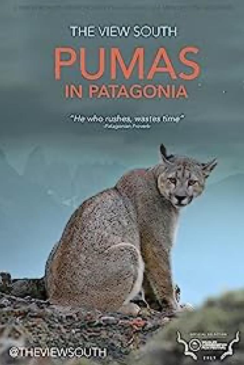 Poster of Pumas in Patagonia