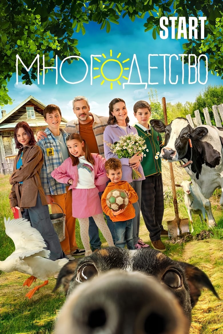 Poster of Многодетство