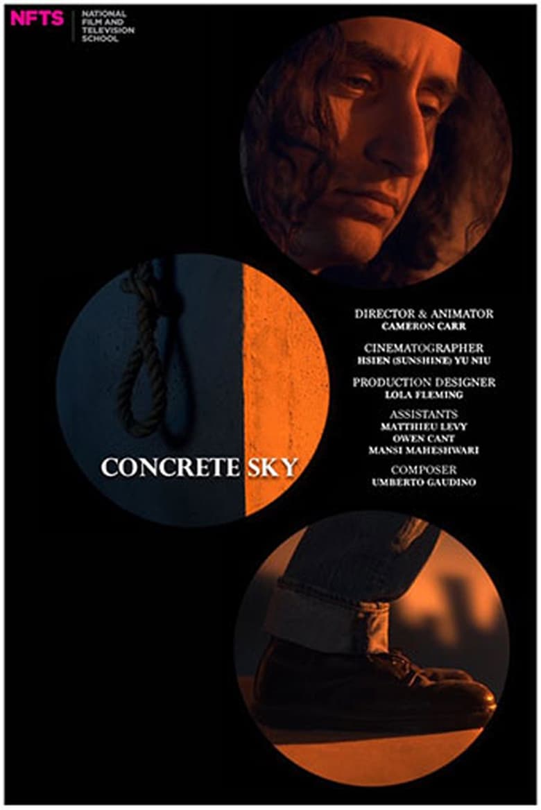 Poster of Concrete Sky