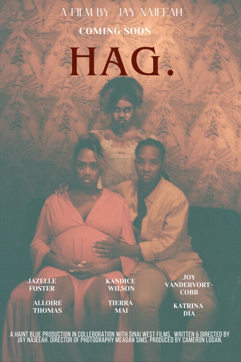 Poster of Hag.