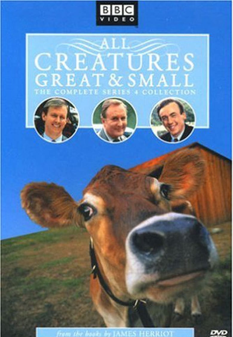 Poster of Episodes in All Creatures Great And Small - Season 4 - Season 4