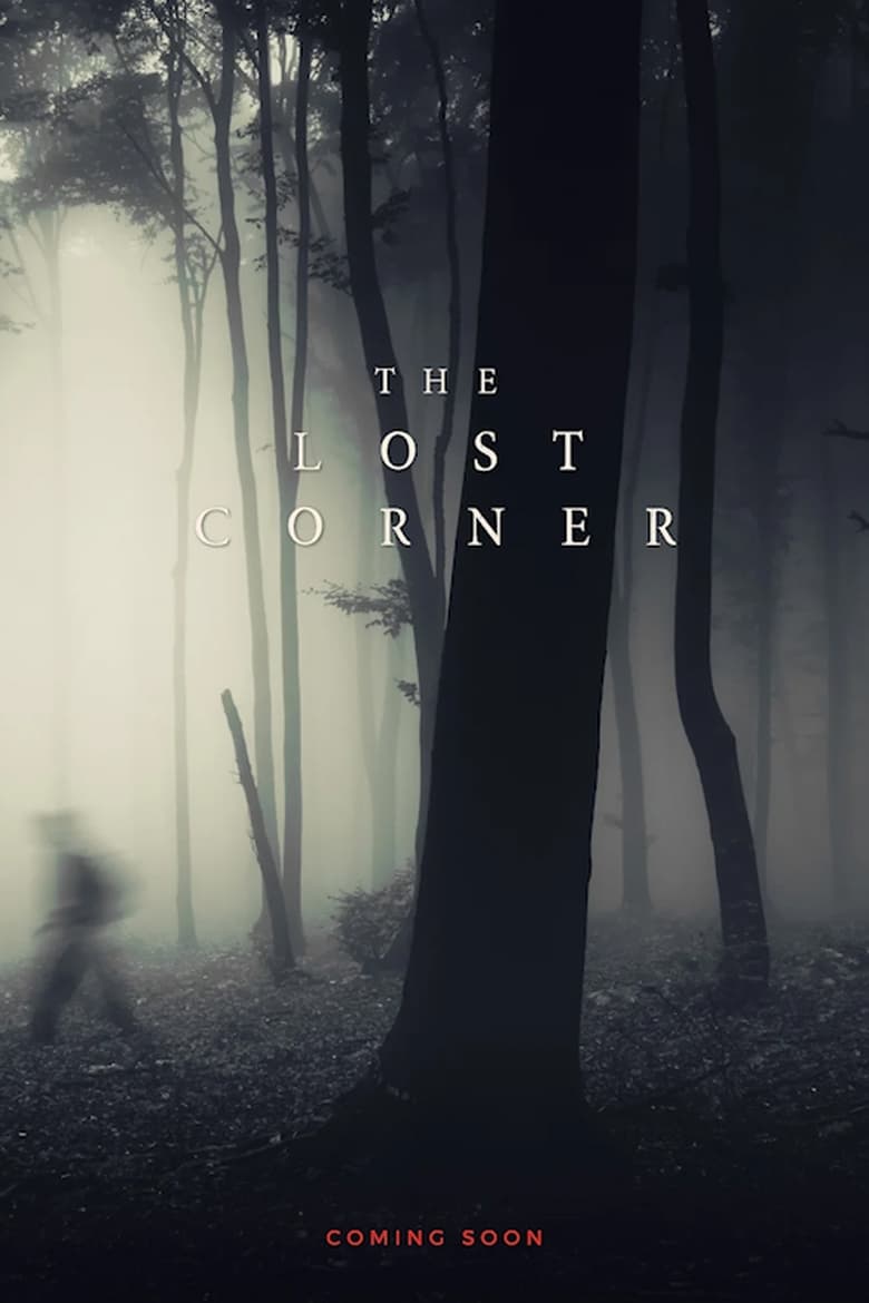 Poster of The Lost Corner