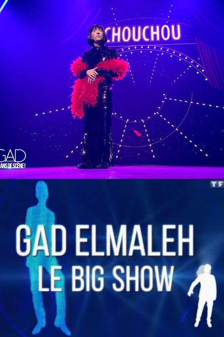 Poster of Gad Elmaleh - Le Big Show