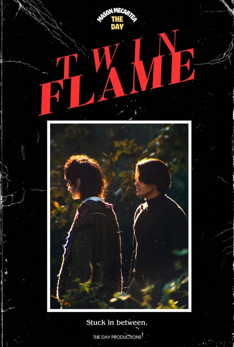 Poster of Twin Flame